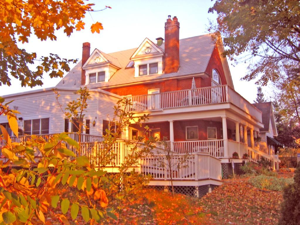 Greenbriar Inn 科达伦 外观 照片